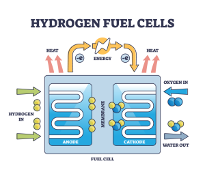 Diagram of a Hydrogen Fuel Cell